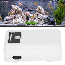 FOLOSAFENAR Pompa di Ossigeno montata su Auto Pompa di gorgogliamento idroponico con Display di(ZY-N10-USB Lithium Battery Air Pump-Single Hole)