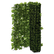 Pureday L'edera dello Schermo del Balcone può Essere Tagliata Verde Circa 3 x 1 m