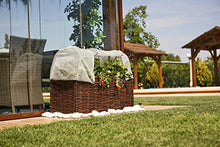Catral Germania Città Giardino, Insetti Custodia Kit Planter, Trasparente, 104 x 44 x 39 cm, 71080010