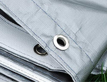 Dancover Telo Telone occhiellato 3x10m, PE 300g/m², Grigio