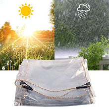 GOODLUKE Telone Trasparente Impermeabile, Tela Pioggia Telo in Plastica PVC Clear Resistente con Occhielli, Coperture in Fogli per Piante da Fiore per Esterno Interno (0,35 mm & 450g/m²),300x400cm