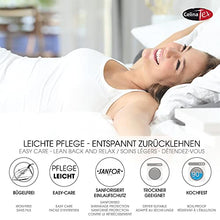 CelinaTex Lucina Lenzuolo Elasticizzato Cotone 200x200-200x220 cm Grigio Scuro