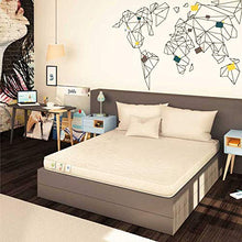 Baldiflex - Materasso Singolo Easy Aloe Small 80 x 190 cm - Rivestimento Aloe Vera Proprieta' Naturali
