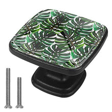 Palm Monstera Pomelli per Porta Set di 4 Pomelli per Mobili Manopole per Cassetti Cucina Armadio Vetro