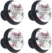 Gufo Pomelli per Porta Set di 4 Pomelli per Mobili Manopole per Cassetti Cucina Armadio Vetro
