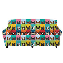 Agroupdream - Copridivano colorato in tessuto spandex resistente per divano, chaise longue e chaise longue per bambini, gatti, cane Boston Terrier a 2 posti