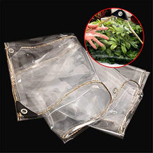 GOODLUKE Telone Trasparente Impermeabile, Tela Pioggia Telo in Plastica PVC Clear Resistente con Occhielli, Coperture in Fogli per Piante da Fiore per Esterno Interno (0,35 mm & 450g/m²),300x400cm