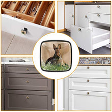 lepre Pomelli per Porta Set di 4 Pomelli per Mobili Manopole per Cassetti Cucina Armadio Vetro