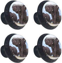 Elefante Pomelli per Porta Set di 4 Pomelli per Mobili Manopole per Cassetti Cucina Armadio Vetro