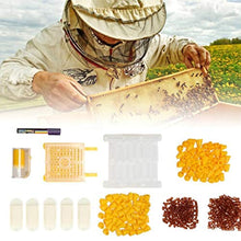 kdjsic Kit per l'allevamento della Regina di Apicoltura Coppe per Celle Catcher Box Gabbie a rulli per l'allevamento di api Strumenti per Alveare