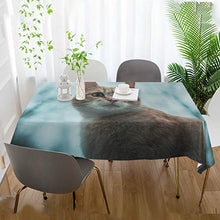 DXG1 - Tovaglia rettangolare da tavolo per esterni e interni, 152 x 274 cm