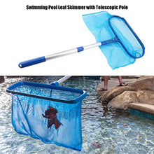 F Fityle Rete da Piscina con Asta, Rete da Piscina