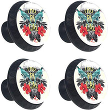 Uccello Tucano tropicale esotico Pomelli per Porta Set di 4 Pomelli per Mobili Manopole per Cassetti Cucina Armadio Vetro