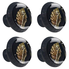 Wetia Teschio d'oro per la Cucina di casa Armadio Armadio Armadio Nero 3,5 x 2,8 cm