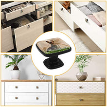lepre Pomelli per Porta Set di 4 Pomelli per Mobili Manopole per Cassetti Cucina Armadio Vetro