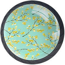 Mimosa gialla si ramifica verde Pomelli per Porta Set di 4 Pomelli per Mobili Manopole per Cassetti Cucina Armadio Vetro