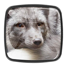 Russian domesticated red fox Pomelli per Porta Set di 4 Pomelli per Mobili Manopole per Cassetti Cucina Armadio Vetro