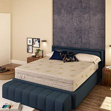 Baldiflex Emporio Materasso Matrimoniale Memory, Easy Plus Top Nice, Rivestimento Sfoderabile in Aloe Vera, Misura 160x190x23 cm