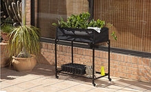 Catral Germania Città Giardino, Mature Table, Marrone, 83 x 43 x 6 cm, 75050003