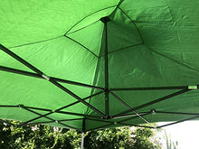 FT TENORE Gazebo RICHIUDIBILE 3X3 M Pieghevole A Fisarmonica Mercato TENDONE con Sacca (Verde)
