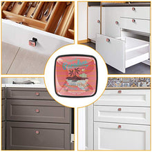 4 PCS Pomelli per Porta,Pomolo per Mobile,Pomelli per Mobili con Viti,Maniglia per Armadietto,Pomelli per Porta,Pomelli per Cassetti per Porta,Armadio,Cassetto e Credenza,L'isola dei dinosauri