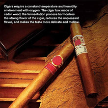 Gymqian Humidors Sigaro Cedar Legno Ufficio Cigar Stoccaggio Scatola Di Stoccaggio Vernice per Pianoforte, Igrometro Integrato classico/Braun / 29.8x22x16.3cm