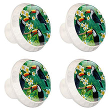 Maniglie per cassetti Manopole per cassetti Manopole rotonde Confezione da 4 per armadietto, cassetti, cassettiere, cassettiere ecc - Pappagallo E Palma