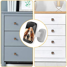 Cane sulla pancia 4 PCS Pomelli per Porta, Pomolo per Mobile, Pomelli per Mobili con Viti, Maniglia per Armadietto, Pomelli per Porta, Pomelli per Cassetti per Porta, Armadio, Cassetto e Credenza