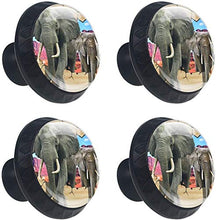 Elefante africano 3D Pomelli per Porta Set di 4 Pomelli per Mobili Manopole per Cassetti Cucina Armadio Vetro