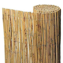 Canna naturale intero giardino 2x5 m utile per nascondere delimitazione o cappellini.