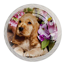 4 pcs White Cabinet Knobs for Kitchen Cabinets Bedroom Wardrobe Dresser Drawers English Cocker Spaniel puppyfnd flowers in basket