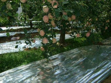 NAVAdeal - 2 copertine da giardino in Mylar altamente riflettenti, 82" x 47"