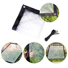 QIAOH Telone Impermeabile Resistente 2x5m, Telo Trasparente Antipioggia in PVC Resistente allo Strappo Copertura per Piante da Giardino per Patio Balcone con Asola,Transparent