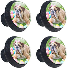 Giraffe Head Animal Zoo Pomelli per Porta Set di 4 Pomelli per Mobili Manopole per Cassetti Cucina Armadio Vetro