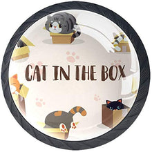 Gatto nella scatola Pomelli per Porta Set di 4 Pomelli per Mobili Manopole per Cassetti Cucina Armadio Vetro