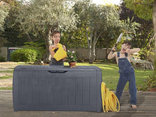 Keter Baule Hollywood Graffite 270 Lt In Resina Cm 117X45X57.5 H