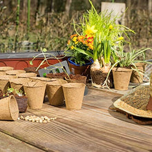 Relaxdays, Beige Set di Vasetti per Piantine, Biodegradabili, da Torba, Rotondi, 80 Pz, in Cellulosa, D: 7 cm