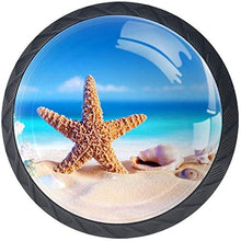 Stella di mare Shell Beach Pomelli per Porta Set di 4 Pomelli per Mobili Manopole per Cassetti Cucina Armadio Vetro