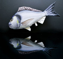 Cuscino Pesce der Dorada 63 cm peluche PESCI kuscheltie cuscino peluche