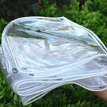 GDMING Telone Occhiellato PVC, Trasparente Impermeabile Robusto All'aperto Tenda Divisoria, Resistente agli Agenti Atmosferici Copertura del Giardino, 30 Dimensioni (Color : Chiaro, Size : 1x2m)