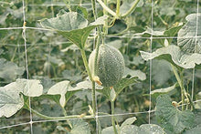 Il Campo RETE SOSTEGNO ORTAGGI 15X17 MT.1.00X1000B