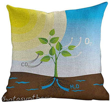 DKISEE Soft Pillow Case Educational, Simple Photosynthesis Scheme Plant Sun Molecules Chemical Chain Growth Ecology, Home Decor Sofa Cushion Case 26x26 inch