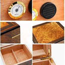 SMEJS Grande capacità Cigar Cabinet Cigar Humidor - con umidificatore con umidificatore e igrometro Cigar