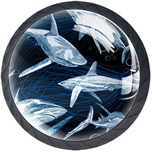 Squalo di pesce di mare Pomelli per Porta Set di 4 Pomelli per Mobili Manopole per Cassetti Cucina Armadio Vetro