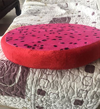 Dosige Cuscino a forma di frutta, cuscino per divano, cuscino da auto, cuscino da ufficio, molto carino, dimensione: 33 cm (Pitaya)