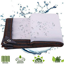 QIAOH Telone Impermeabile Resistente 2x5m, Telo Trasparente Antipioggia in PVC Resistente allo Strappo Copertura per Piante da Giardino per Patio Balcone con Asola,Transparent