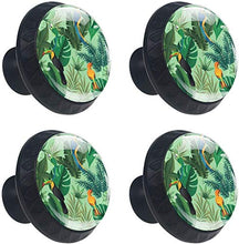 Uccello Tucano Foglie Tropicali Pomelli per Porta Set di 4 Pomelli per Mobili Manopole per Cassetti Cucina Armadio Vetro