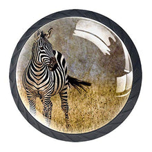 Zebra retrò 4 PCS Pomelli per Porta, Pomolo per Mobile, Pomelli per Mobili con Viti, Maniglia per Armadietto, Pomelli per Porta, Pomelli per Cassetti per Porta, Armadio, Cassetto e Credenza