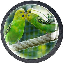 Budgerigars Birds Kissing Couple Love Pomelli per Porta Set di 4 Pomelli per Mobili Manopole per Cassetti Cucina Armadio Vetro
