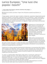 Castelmerlino Panca Pieghevole cm 120 x 30, H cm 42